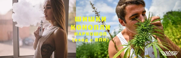прущая мука Анива