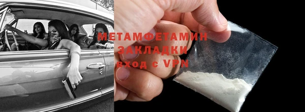 прущие грибы Апатиты