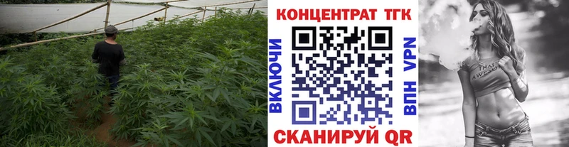 Дистиллят ТГК концентрат  цена наркотик  Карасук 