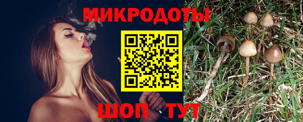 Псилоцибиновые грибы Cubensis Карасук