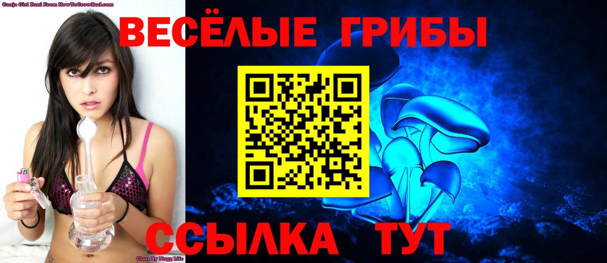 Галлюциногенные грибы мухоморы  Карасук 