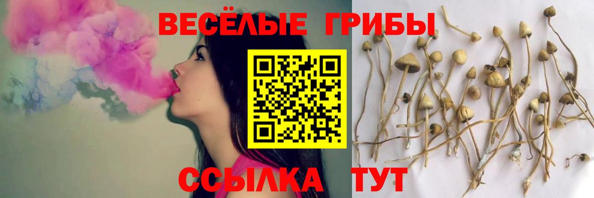 NBOMe Карасук