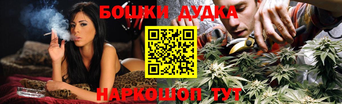 Каннабис планчик Карасук