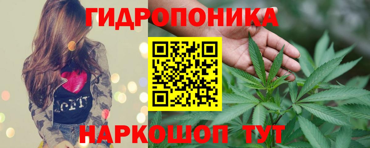 Бошки марихуана THC 21% Карасук